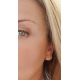 PENDIENTES PLATA DOBLE DAGA CIRCONITAS