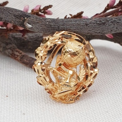INSIGNIA PROFESION MAGISTERIO ORO 18 KT