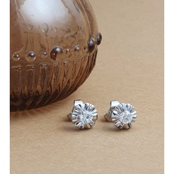 PENDIENTES BRILLANTES GARRAS ILUSION